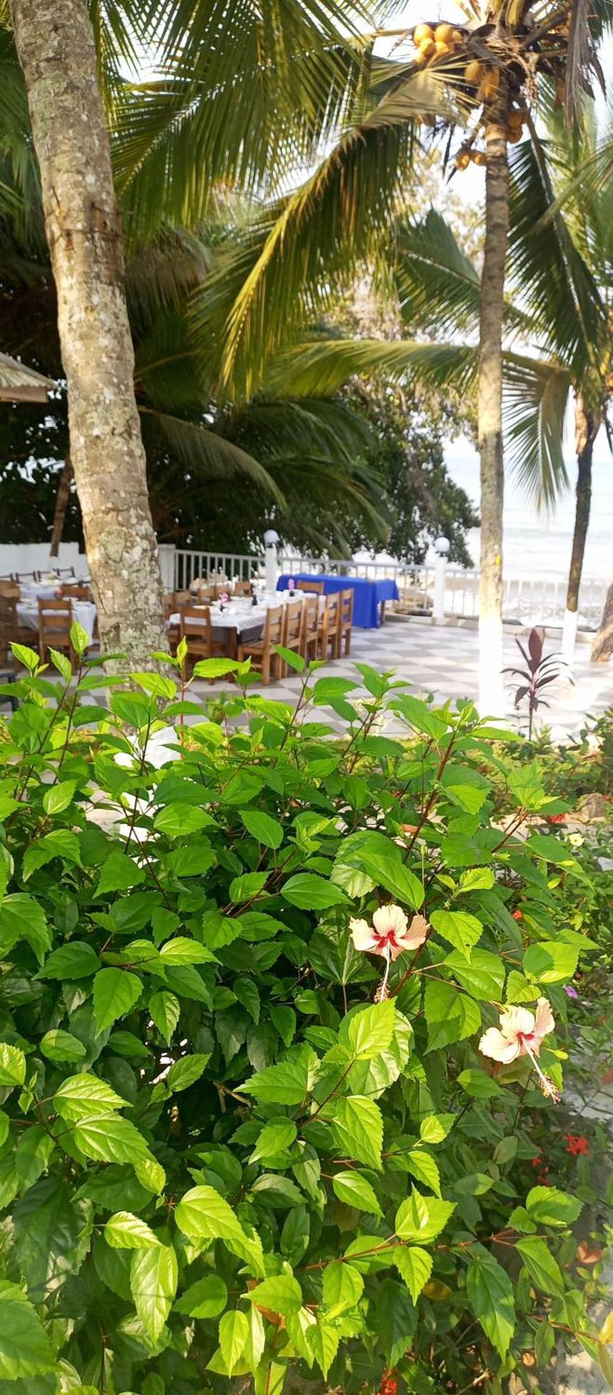 Residence Callens Kribi Exterior foto